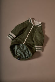 Italian Greyhound / Whippet Green Quilted Bomber Jacket MOSS