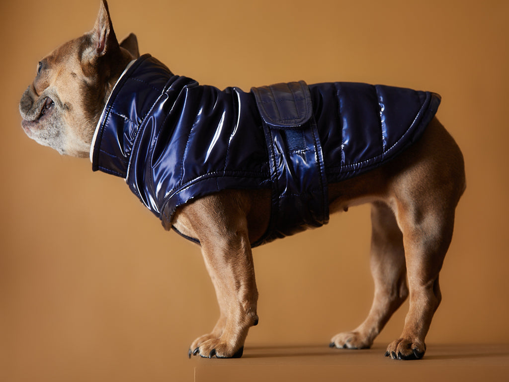 Blue Waterproof Turtleneck Jacket RUE