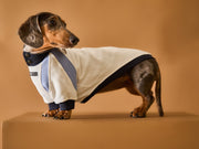 Dachshund Tricolor Turtleneck Sweater EMILY