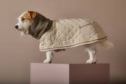 Beige Turtleneck Coat FAWN