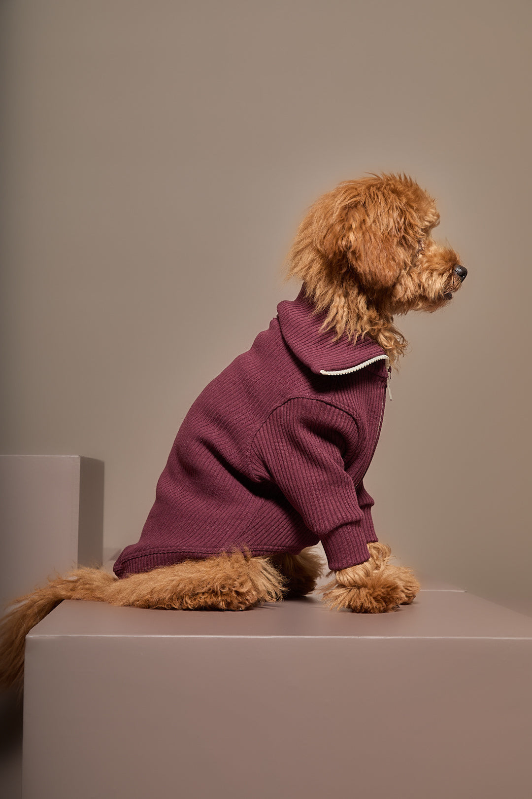 Burgundy Knit Turtleneck Sweater with Zipper for Dogs – The