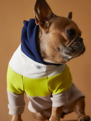 Dark Color-Blocked Hoodie MACARON