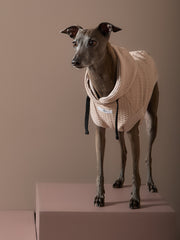 Italian Greyhound / Whippet Sand Textured Hooded Vest BIRCH