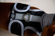 Dachshund Black Quilted Turtleneck Harness GADE