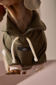 Dachshund Military Green Sweatshirt STONE