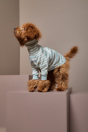 Turquoise and Cream Striped Turtleneck Sweater REED