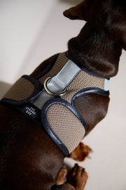 Dachshund Brown & Black Mesh Harness COBBLESTONE