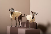 Italian Greyhound / Whippet Ivory Sherpa Vest MILAN
