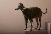 Italian Greyhound / Whippet Green Quilted Bomber Jacket MOSS