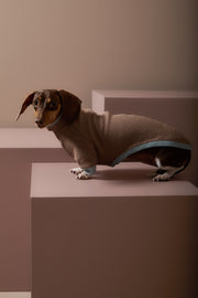 Dachshund Mokka Waffle Sweater GRAIN