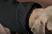 Dachshund Black Textured Hooded Vest BIRCH