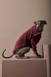 Italian Greyhound / Whippet Burgundy Sweater with Zipper KNIT