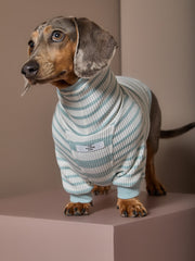 Dachshund Turquoise  and Cream Striped Turtleneck Sweater REED
