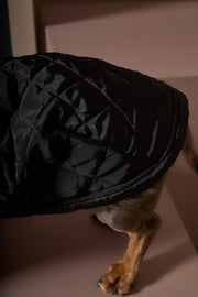 Dachshund Black Turtleneck Cape HIRO