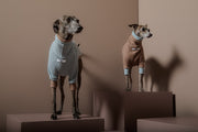 Italian Greyhound / Whippet Dust Blue Waffle Sweater GRAIN