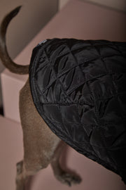 Italian Greyhound / Whippet Black Turtleneck Cape HIRO