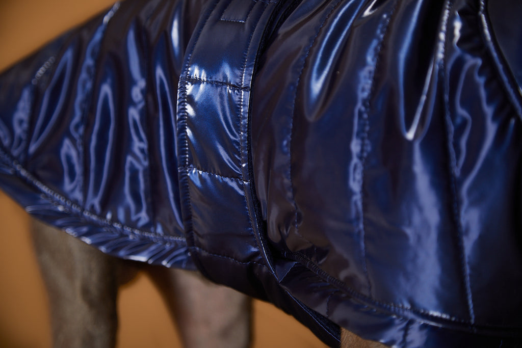 Italian Greyhound / Whippet Blue Waterproof Turtleneck Jacket RUE