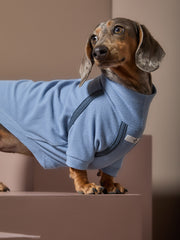 Dachshund Light Blue Turtleneck Sweater CAIRO