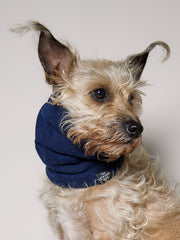 Blue Fleece Ring Scarf CHILL
