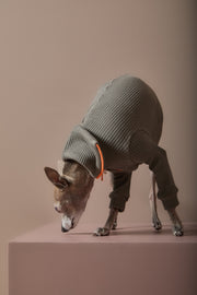 Italian Greyhound / Whippet Military Green Sweater with Zipper KNIT