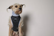 Standard Black Quilted Turtleneck Harness GADE