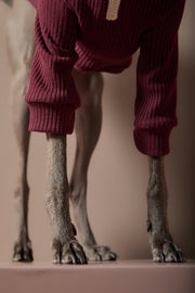 Italian Greyhound / Whippet Burgundy Sweater with Zipper KNIT