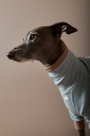 Italian Greyhound / Whippet Dust Blue Waffle Sweater GRAIN