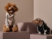 Sand Textured Hooded Vest BIRCH