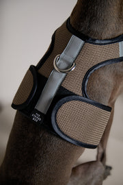 Italian Greyhound / Whippet Brown & Black Mesh Harness COBBLESTONE