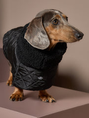 Dachshund Black Turtleneck Cape HIRO