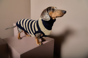 Dachshund Striped Knit Sweater KYRA