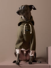 Italian Greyhound / Whippet Military Green Sweatshirt STONE