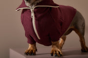 Dachshund Burgundy Sweater with Zipper KNIT