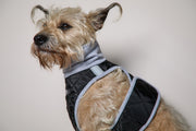 Standard Black Quilted Turtleneck Harness GADE