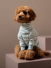 Turquoise and Cream Striped Turtleneck Sweater REED