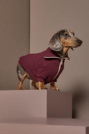 Dachshund Burgundy Sweater with Zipper KNIT