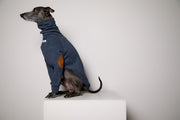 Italian Greyhound / Whippet Heather Blue Ribbed Sweater with Patches MIST