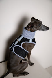 Italian Greyhound / Whippet Black Quilted Turtleneck Harness GADE