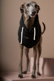Italian Greyhound / Whippet Black Textured Hooded Vest BIRCH