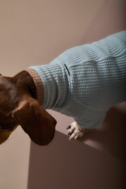 Dachshund Dust Blue Waffle Sweater GRAIN