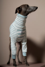Italian Greyhound / Whippet Turquoise and Cream Striped Turtleneck Sweater REED