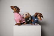 Dachshund Olive Green Ribbed Sweater with Patches MIST