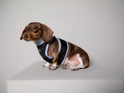 Dachshund Black Quilted Turtleneck Harness GADE