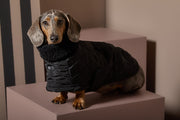 Dachshund Black Turtleneck Cape HIRO