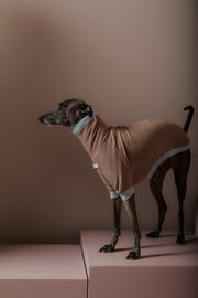 Italian Greyhound / Whippet Mokka Waffle Sweater GRAIN