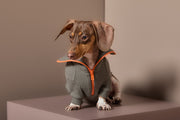 Dachshund Military Green Sweater with Zipper KNIT