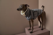 Italian Greyhound / Whippet Gray Herringbone Jacket TWILL