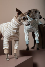 Italian Greyhound / Whippet Turquoise and Cream Striped Turtleneck Sweater REED