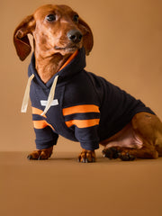 Dachshund Dark Blue Hoodie BRIE
