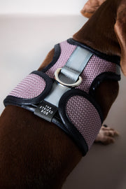 Dachshund Pink & Black Mesh Harness COBBLESTONE